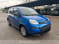 Usata Fiat Panda 70 CV (51 kW) 2024 Rossotessuto nero con monogramma Utilitaria