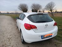 usata Opel Astra Astra 1.4 Ecotec 5 porte Elective