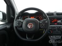Usata Fiat Panda Easy 69 CV (50 kW) 2020 Bianco Utilitaria
