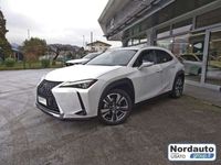 usata Lexus UX 250h Hybrid 4WD Luxury