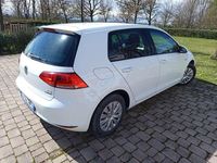 Usata VW Golf VII Comfortline 110 CV (80 kW) 2015 Bianco Berlina