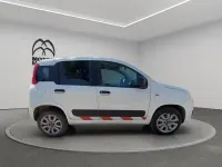 Usata Fiat Panda 4x4 Pop 85 CV (62 kW) 2020 Bianco Utilitaria