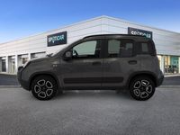 usata Fiat Panda Cross 1.0 FireFly 70cv S&S Hybrid