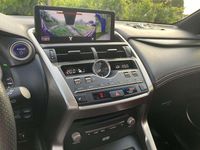 Usata Lexus NX300h Sport Line 155 CV (114 kW) 2018 Blu/azzurro SUV