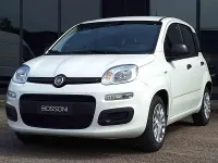 Usata Fiat Panda Icon 65 CV (47 kW) 2026 Bianco Utilitaria