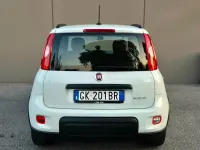 Usata Fiat Panda Cross Cross 70 CV (51 kW) 2022 Bianco Utilitaria