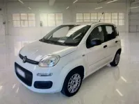 Usata Fiat Panda Easy 69 CV (50 kW) 2019 Bianco Utilitaria