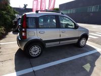 Usata Fiat Panda 4x4 Climbing 60 CV (44 kW) 2005 Argento Utilitaria