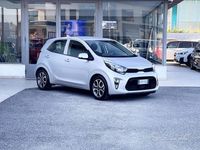 Usata Kia Picanto 67 CV (49 kW) 2023 Grigio Utilitaria