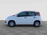 Nuova Fiat Panda Icon 65 CV (47 kW) 2025 Bianco Utilitaria