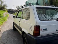 Usata Fiat Panda 39 CV (28 kW) 1998 Bianco Berlina