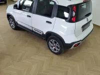 Usata Fiat Panda 4x4 S 84 CV (61 kW) 2019 Bianco Utilitaria