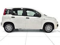 Nuova Fiat Panda Icon 69 CV (50 kW) 2026 Bianco Utilitaria