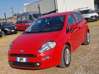 Usata Fiat Punto Lounge 69 CV (50 kW) 2015 Rosso Utilitaria
