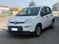 Usata Fiat Panda City Life 69 CV (50 kW) 2023 Bianco gelato Utilitaria