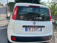 Usata Fiat Panda Pop 69 CV (50 kW) 2017 Bianco Utilitaria