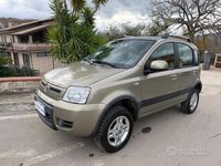 Usata Fiat Panda 4x4 74 CV (54 kW) 2011 Marrone Utilitaria