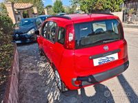 Usata Fiat Panda Lounge 69 CV (50 kW) 2020 Rosso Utilitaria