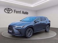 Usata Lexus NX350h 243 CV (178 kW) 2023 Dark grey SUV