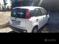Usata Fiat Panda 69 CV (50 kW) 2015 Bianco Utilitaria