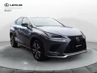 Usata Lexus NX300h Sport Line 197 CV (144 kW) 2019 Grigio SUV