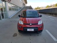 usata Fiat Panda Panda 1.0 70cv hybrid