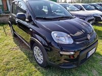 Usata Fiat Panda S 69 CV (50 kW) 2024 Nero Utilitaria