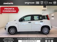 Nuova Fiat Panda Icon 70 CV (51 kW) 2025 Bianco Utilitaria