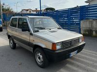 usata Fiat Panda 4x4 1100 i.e. cat 4x4 Trekking