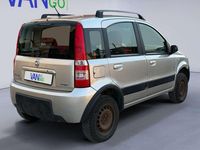 Usata Fiat Panda 4x4 Cross 69 CV (50 kW) 2007 Argento Utilitaria