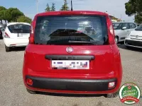 Usata Fiat Panda Lounge 69 CV (50 kW) 2016 Rosso Utilitaria