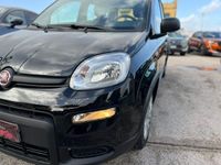 usata Fiat Panda 1.0 FireFly S&S Hybrid City Life