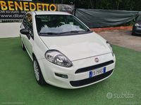 Usata Fiat Punto Evo Active 75 CV (55 kW) 2013 Bianco Utilitaria