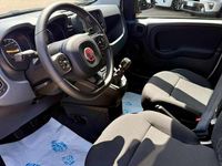 Usata Fiat Panda S 70 CV (51 kW) 2024 Bianco Utilitaria