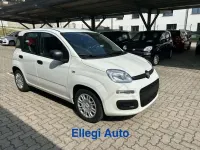 Nuova Fiat Panda Icon 69 CV (50 kW) 2026 Bianco Utilitaria