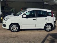 Usata Fiat Panda Easy 69 CV (50 kW) 2018 Bianco Utilitaria