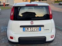 Usata Fiat Panda City Life 69 CV (50 kW) 2023 Bianco Utilitaria
