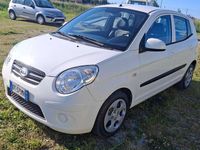 Usata Kia Picanto 63 CV (46 kW) 2010 Bianco Utilitaria