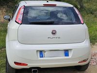 Usata Fiat Punto 75 CV (55 kW) 2013 Utilitaria