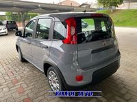 usata Fiat Panda 1.0 PROMO FIN. 1.0 FireFly S&S Hybrid MY 23 KM 0