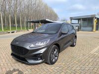 Usata Ford Kuga ST-Line 152 CV (111 kW) 2022 Grigio SUV