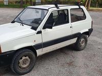 Usata Fiat Panda 4x4 54 CV (39 kW) 2001 Bianco Utilitaria
