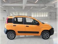 Usata Fiat Panda 4x4 Pop 80 CV (58 kW) 2017 Utilitaria