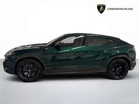 Usata Lamborghini Urus 650 CV (478 kW) 2020 Verde hermes SUV