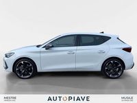 Usata Cupra Leon 150 CV (110 kW) 2025 Bianco Utilitaria