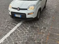 Usata Fiat Panda City Life 69 CV (50 kW) 2024 Utilitaria