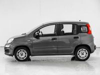 Usata Fiat Panda Easy 69 CV (50 kW) 2019 Grigio Utilitaria