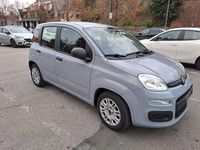 Usata Fiat Panda Easy 69 CV (50 kW) 2020 Grigio Berlina