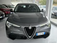 Usata Alfa Romeo Stelvio 160 CV (117 kW) 2019 Blu SUV