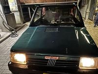 Usata Fiat Panda 4x4 1993 Verde Utilitaria